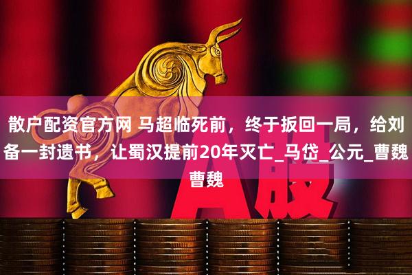 散户配资官方网 马超临死前，终于扳回一局，给刘备一封遗书，让蜀汉提前20年灭亡_马岱_公元_曹魏